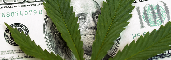 marijuana funded