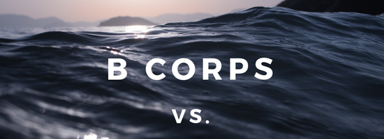 B Corps vs. Benefit Corporations written over waves