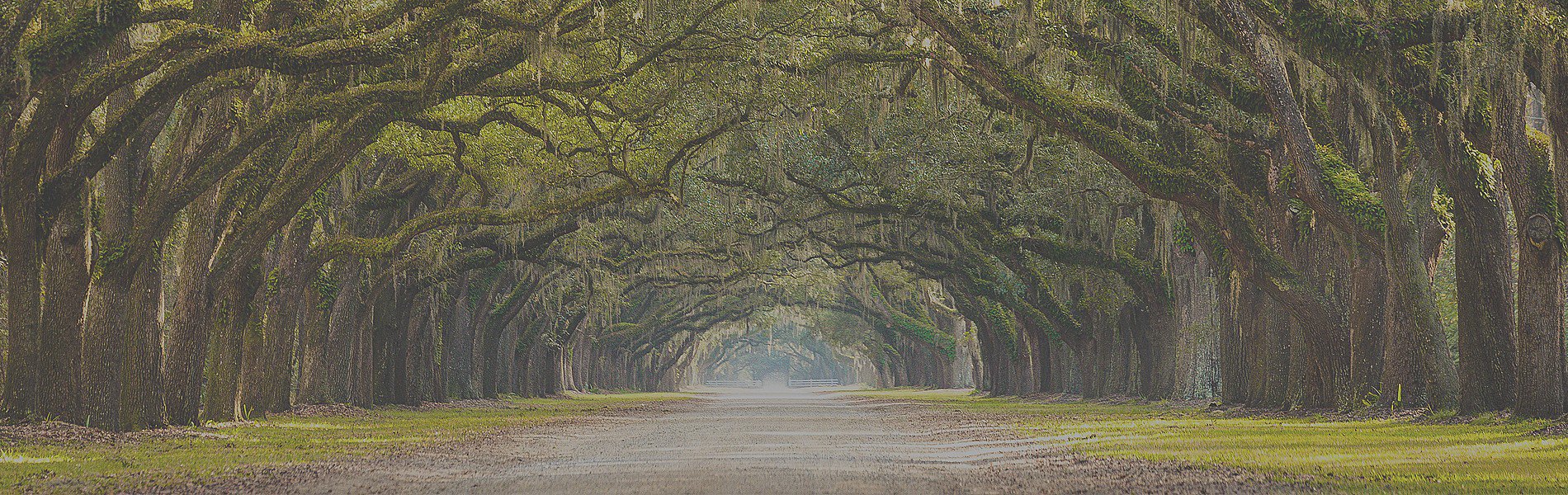 Savannah, GA Bankruptcy & Debt Relief Attorney Pytte Law